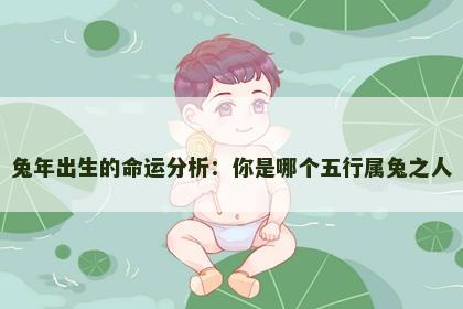 兔年出生的命运分析：你是哪个五行属兔之人