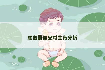 属鼠最佳配对生肖分析