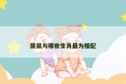属鼠与哪些生肖最为相配