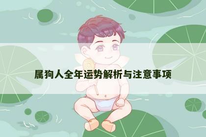 属狗人全年运势解析与注意事项