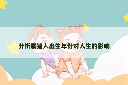 分析属猪人出生年份对人生的影响
