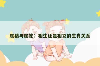 属猪与属蛇：相生还是相克的生肖关系