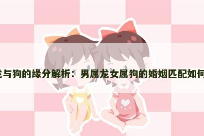 龙与狗的缘分解析：男属龙女属狗的婚姻匹配如何？