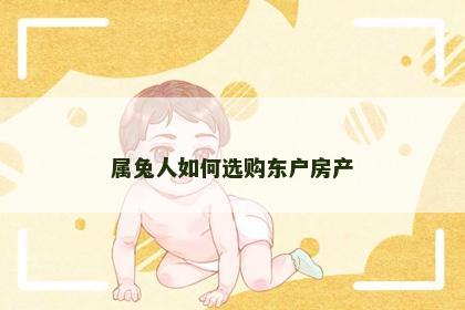 属兔人如何选购东户房产