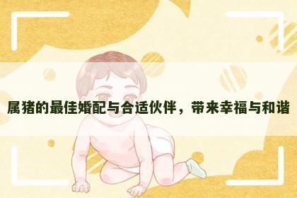 属猪的最佳婚配与合适伙伴，带来幸福与和谐