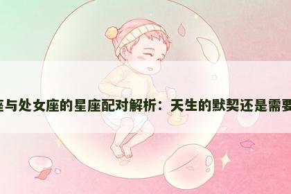 金牛座与处女座的星座配对解析：天生的默契还是需要努力？