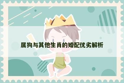 属狗与其他生肖的婚配优劣解析