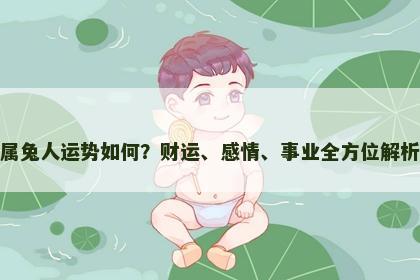 属兔人运势如何？财运、感情、事业全方位解析