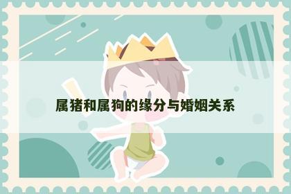 属猪和属狗的缘分与婚姻关系
