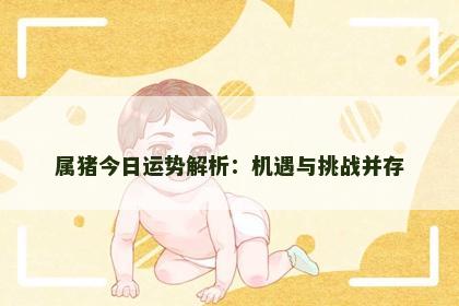 属猪今日运势解析：机遇与挑战并存