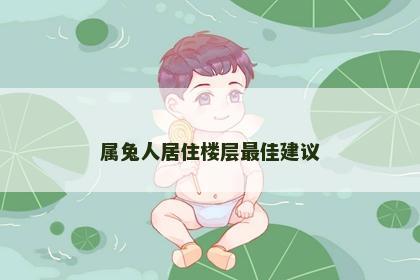 属兔人居住楼层最佳建议