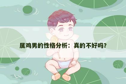 属鸡男的性格分析：真的不好吗？