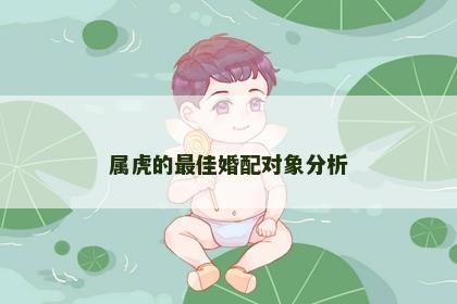 属虎的最佳婚配对象分析