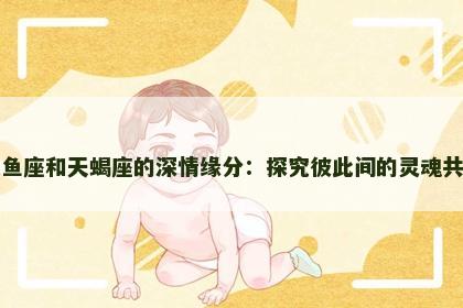 双鱼座和天蝎座的深情缘分：探究彼此间的灵魂共鸣