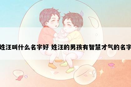姓汪叫什么名字好 姓汪的男孩有智慧才气的名字