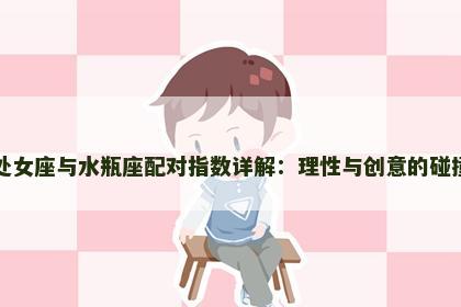 处女座与水瓶座配对指数详解：理性与创意的碰撞