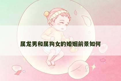 属龙男和属狗女的婚姻前景如何