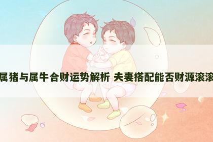 属猪与属牛合财运势解析 夫妻搭配能否财源滚滚