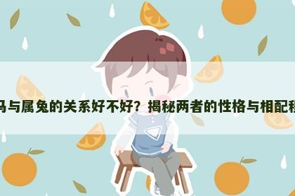 属马与属兔的关系好不好？揭秘两者的性格与相配程度