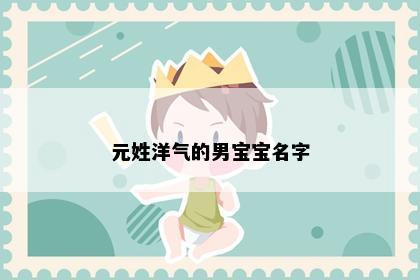 元姓洋气的男宝宝名字