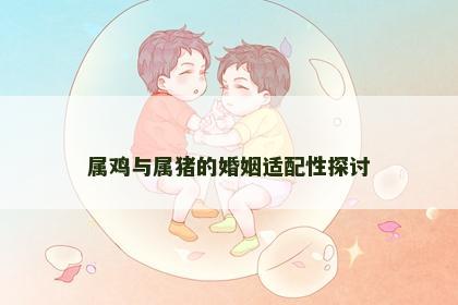 属鸡与属猪的婚姻适配性探讨
