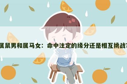 属鼠男和属马女：命中注定的缘分还是相互挑战？