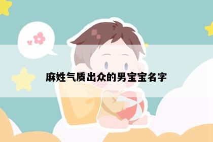 麻姓气质出众的男宝宝名字