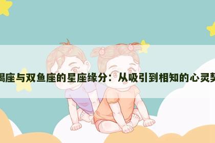 天蝎座与双鱼座的星座缘分：从吸引到相知的心灵契合