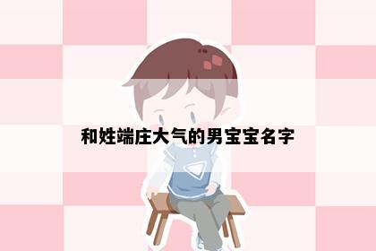 和姓端庄大气的男宝宝名字
