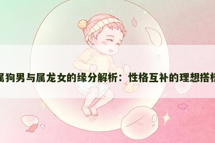 属狗男与属龙女的缘分解析：性格互补的理想搭档
