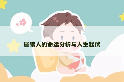 属猪人的命运分析与人生起伏