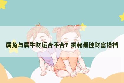 属兔与属牛财运合不合？揭秘最佳财富搭档