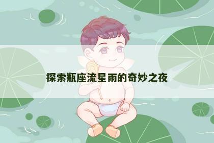 探索瓶座流星雨的奇妙之夜