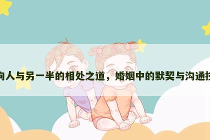 属狗人与另一半的相处之道，婚姻中的默契与沟通技巧