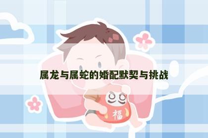 属龙与属蛇的婚配默契与挑战