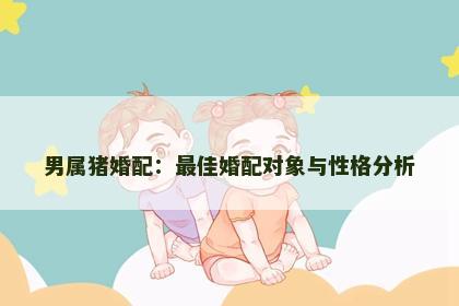 男属猪婚配：最佳婚配对象与性格分析