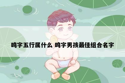 鸣字五行属什么 鸣字男孩最佳组合名字