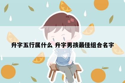 升字五行属什么 升字男孩最佳组合名字