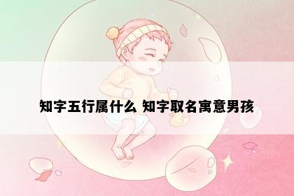 知字五行属什么 知字取名寓意男孩