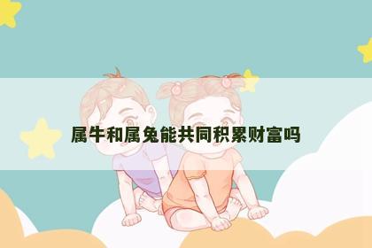 属牛和属兔能共同积累财富吗