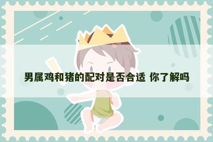男属鸡和猪的配对是否合适 你了解吗
