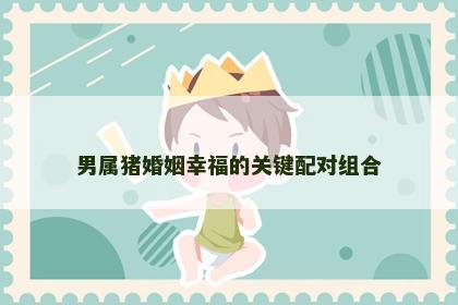 男属猪婚姻幸福的关键配对组合