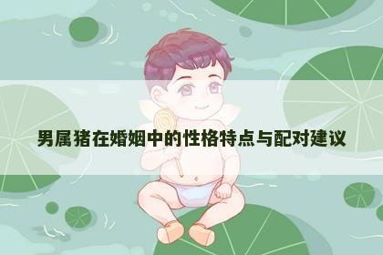 男属猪在婚姻中的性格特点与配对建议