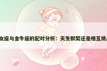 处女座与金牛座的配对分析：天生默契还是相互挑战？