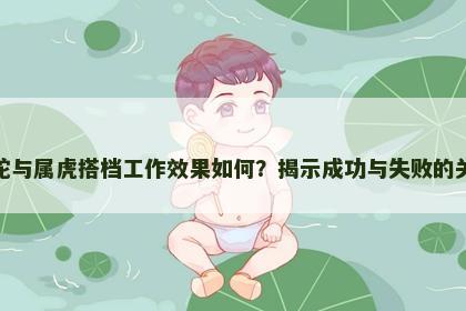 属蛇与属虎搭档工作效果如何？揭示成功与失败的关键