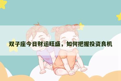 双子座今日财运旺盛，如何把握投资良机