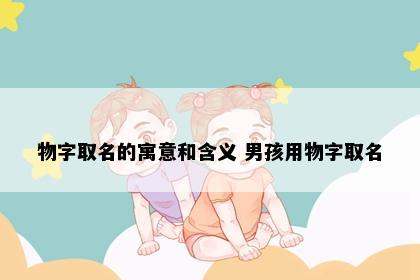 物字取名的寓意和含义 男孩用物字取名