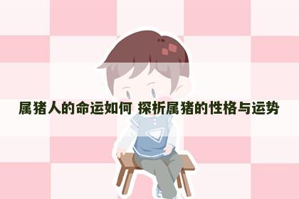 属猪人的命运如何 探析属猪的性格与运势
