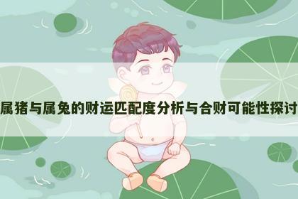 属猪与属兔的财运匹配度分析与合财可能性探讨