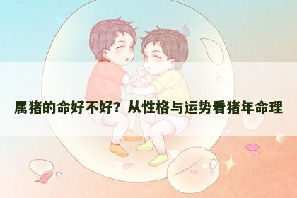 属猪的命好不好？从性格与运势看猪年命理